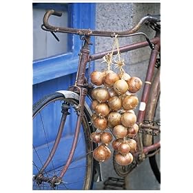 Photographic Print of Roscoff, Finistere region from AWL Discover Images.com