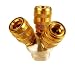 IIT 3 Way Air Hose Manifold - Brass