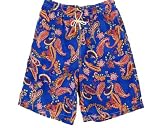 Polo Ralph Lauren Paisley Swim Trunk