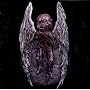 Si Monumentum Requires, Circumpiece ~ Deathspell Omega