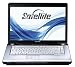 Toshiba Satellite A210-1BS 39,1 cm (15,4 Zoll) WXGA Notebook (AMD Turion 64 X2 TL64 2,2GHz, 2GB RAM, 250GB HDD, ATI Radeon HD2600M, DVD+- DL RW, Vista Home Premium)