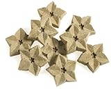 Cloud Star Provenance Dog Treats, Grain-free Chicken and Potato Flavor, 10-Pound Box