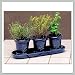 French Herb Trio