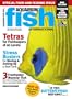 Aquarium Fish International (1-year)