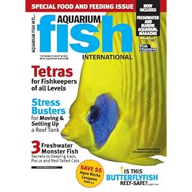 Aquarium Fish International (1-year)