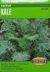 Kale Siberian Heirloom Seeds 175 Seeds