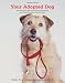 Your Adopted Dog: Everything You Need to Know about Rescuing and Caring for a Best Friend in Need
