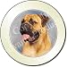 BULLMASTIFF DOG Tax Disc Holder