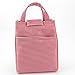 Lunch Bag Red 9.44