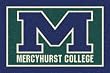 Mercyhurst Lakers 7' 8" x 10' 9" Team Spirit Area Rug
