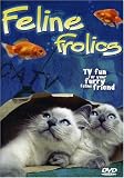 Feline Frolics
