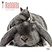 Rabbits 2016 Wall Calendar