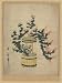 Reprint Historic Japanese Print two plants with pink and yellow flowers growing in a double wooden flower pot 1800