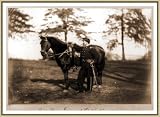 Civil War Photo (S): O.H. Hart full-length portrait standing left profile in uniform alongside horse