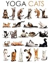 Poster Yoga Cats - Größe 40 x 50 cm - Miniposter
