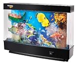 Discovery Kids Animated 12-Inch Fish Lamp