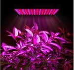 HooToo� -Lampe de Croissance � LEDs (...