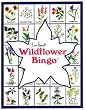 Bingo Wildflower