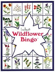 Bingo Wildflower