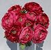 Fuchsia (Fushia) Ranunculus Silk Bouquet