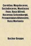 Cervidae: Megaloceros, Eucladoceros, Muntiacus Feae, Rusa Alfredi, Rucervus Schomburgki, Przewalskium Albirostris, Rusa Marianna (German Edition)