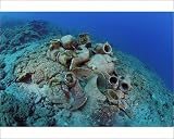 Photographic Prints of Etruscan Amphora in a protected archaeological area on the sea bed in Antalya from Ardea Wildlife Pets