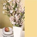 Cherry Blossom Stems - Cream Pink, Set of 6