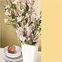 Cherry Blossom Stems - Cream Pink, Set of 6