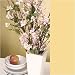 Cherry Blossom Stems - Cream Pink, Set of 6