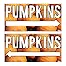VictoryStore Halloween Pumpkins Directional Yard Sign - Set Includes Even Number of Right and Left Arrows - 12