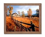 Old Wood Barn And Fence Fall Trees Home Decor Wall Picture Oak Framed Art Print