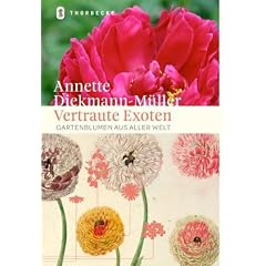 Vertraute Exoten: Gartenblumen aus aller Welt