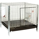 Little Giant Farm & Ag Miller Manufacturing RHCK1 Complete Rabbit Hutch Kit