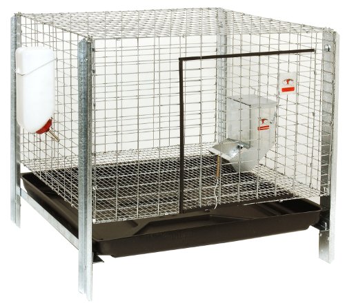 Little Giant Farm & Ag Miller Manufacturing RHCK1 Complete Rabbit Hutch Kit On Sale