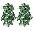 TWO 36" Artificial Frosted Ivy/Philo Ivy/ Variegated Ivy Mixed Hanging Bushes