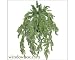 Artificial Asparagus Fern Outdoor Rated