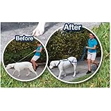 The Instant Trainer Dog Leash