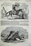 1858 BUENOS AYRES MILKMAN SANTA LUCIA MARKET PLACE