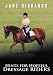Hints for Hopeful Dressage Riders