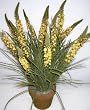 24" Silk Torch Flower and Wild Grass (antique yellow)