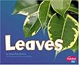 Leaves (Plant Parts)