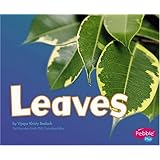 Leaves (Plant Parts)