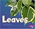 Leaves (Plant Parts)