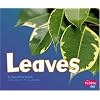 Leaves (Plant Parts series)