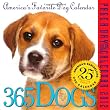 365 Dogs Page-a-Day 2012 Calendar (Page a Day Calendar)
