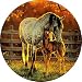 HORSE AND Foal SPARE TIRE COVER
