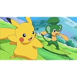 ポケットモンスター ベストウイッシュ ピカチュウのサマー・ブリッジ・ストーリー [DVD]
