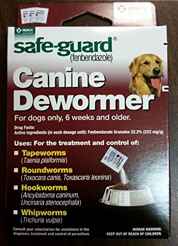 Dating Safe Gaurd Review
