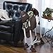 Graco Swing By Me 2-in-1 Portable Swing, Go Green