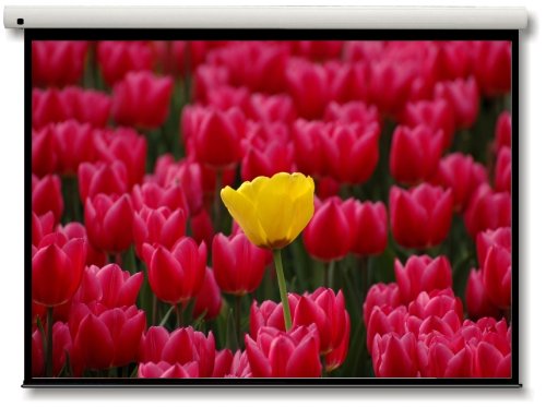 OPTOMA Leinwand motorisiert 254cm 100Zoll 4:3 Glasfaser 2030x1524cm Alugehaeuse Preisvergleich